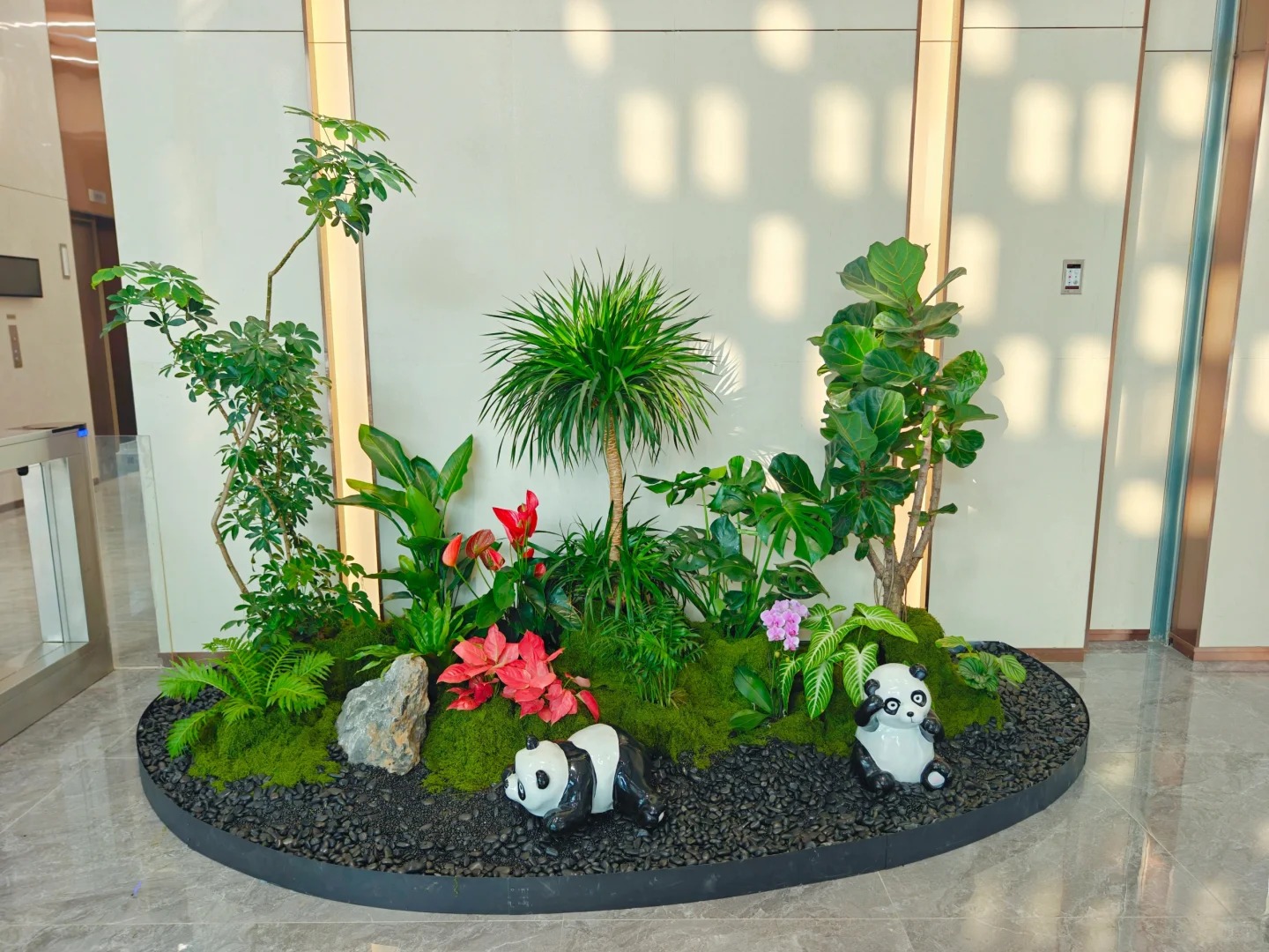 专业提供北仑盆景出租，品质有保障